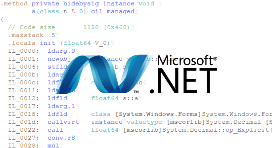 .NET Disassembly